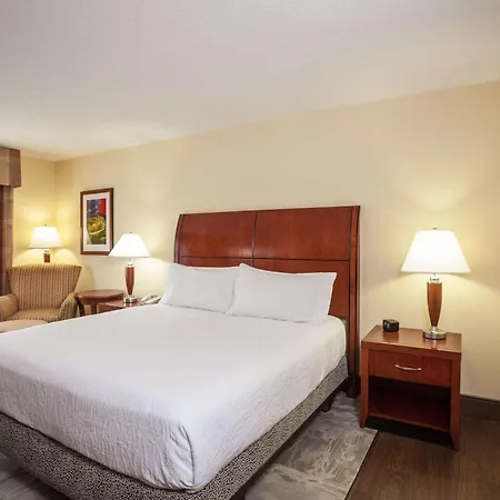 Hilton Garden Inn El Paso University-2