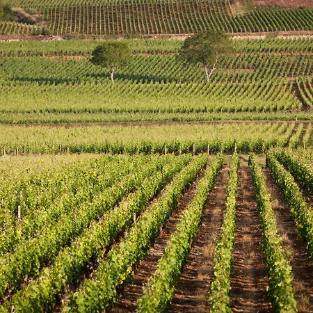 Kyriad Prestige Beaune le Panorama-3