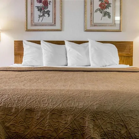Quality Inn Hudsonville South-3