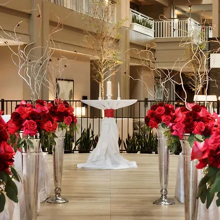 Embassy Suites By Hilton Chicago Lombard-3
