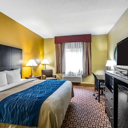 Quality Inn Plant City - Lakeland-3