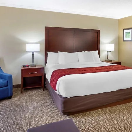 Comfort Inn Hoffman Estates - Schaumburg-2