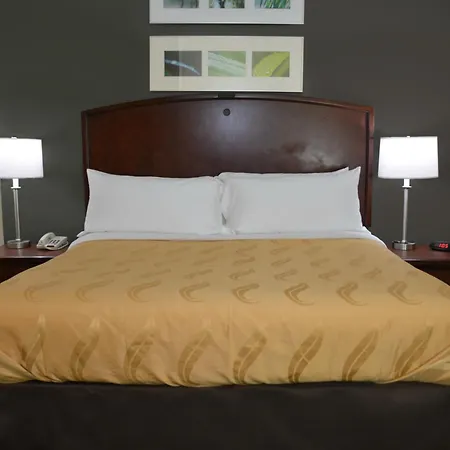 Quality Inn & Suites Dublin-3