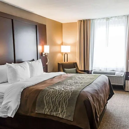 Comfort Inn & Suites Pharr - Mcallen-2