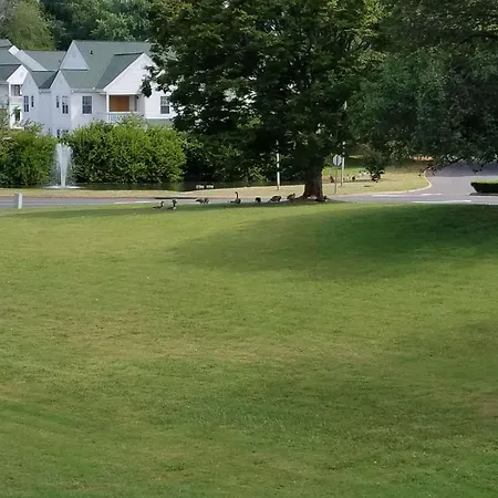 Quality Inn Culpeper-2