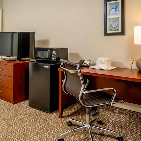 Comfort Inn & Suites Grundy-3
