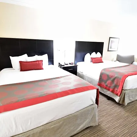 Ramada By Wyndham Jacksonville Hotel & Conference Center-3