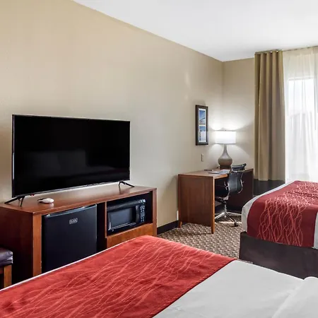 Comfort Inn & Suites Atoka-Millington-2