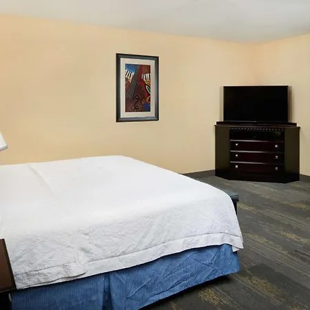 Hampton Inn & Suites Mount Juliet-3