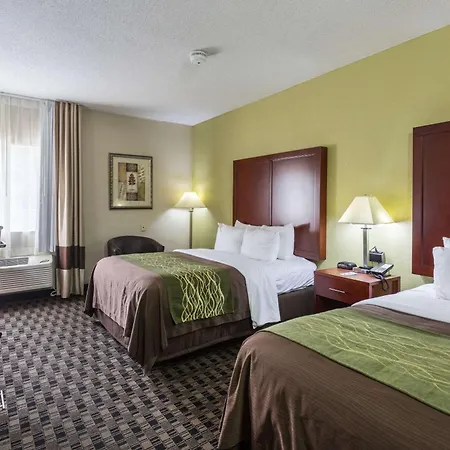 Comfort Inn Decatur Priceville-3