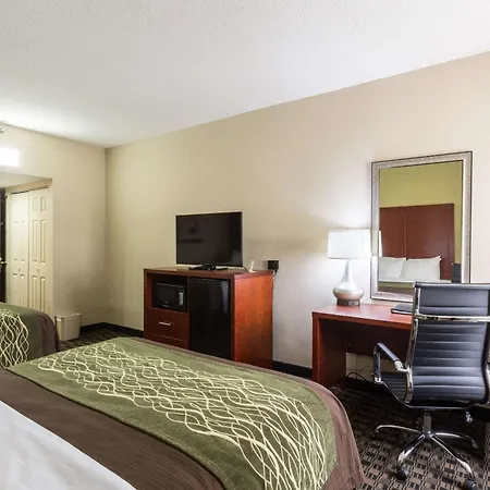 Comfort Inn Decatur Priceville-2