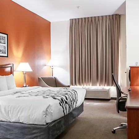 Sleep Inn & Suites Hobbs-3