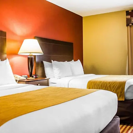 Comfort Inn & Suites-3