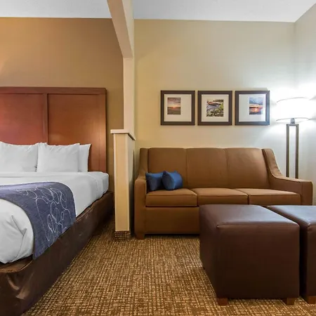 Comfort Suites Rochester Henrietta University Area-3