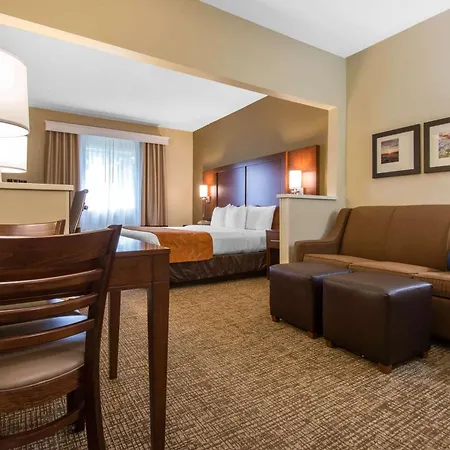 Comfort Suites Rochester Henrietta University Area-2