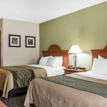 Comfort Inn Pine Grove I-81 Hershey Area-3