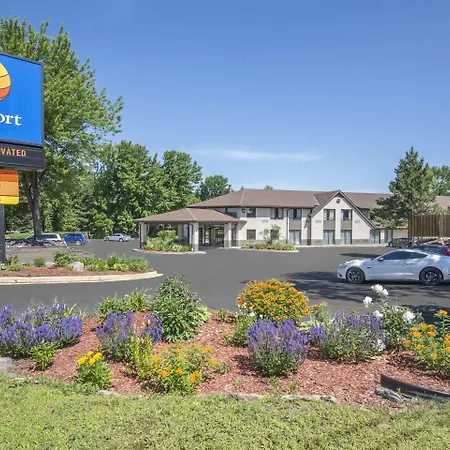 Comfort Inn Lakeshore-3