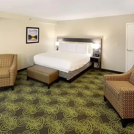Hilton Garden Inn Reagan National Airport-3