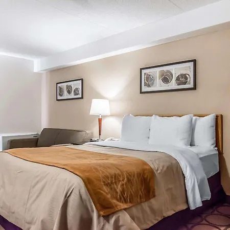 Comfort Inn Riviere-Du-Loup-3