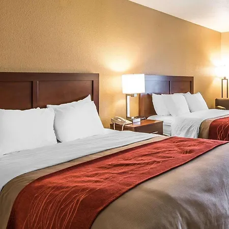 Quality Inn & Suites Bethany-2