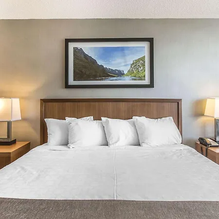 Quality Inn-3