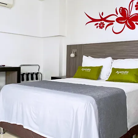 Hotel Mh Pereira-2