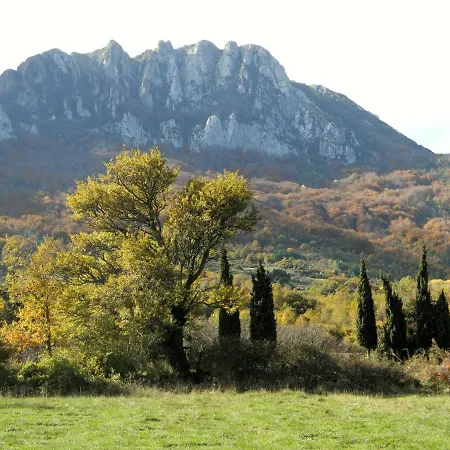 Gite De La Bastide - Cabania Pays Cathare-2