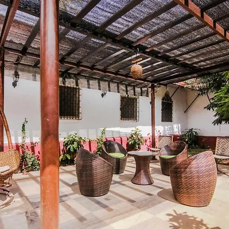 The Figueiredo House-3