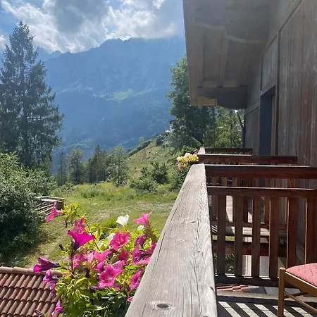 Chalet Edelweiss-2