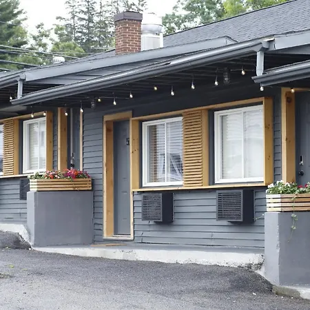 The Vine On Main-2