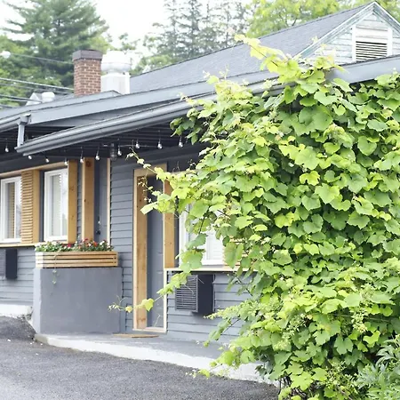The Vine On Main-3
