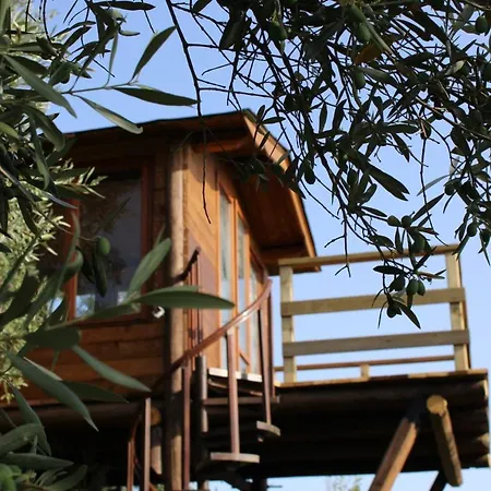 The Treehouse - Casa sull'albero al Golden Camp-2