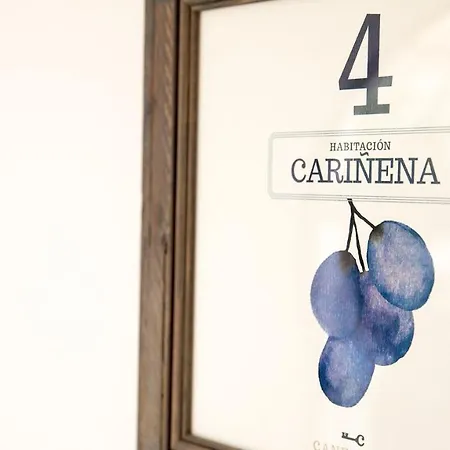 Hotel Boutique Canelobre-3