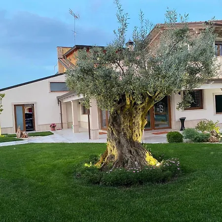 Balneum Rooms & Spa-3