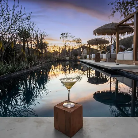 El Perdido Desert Dream- Todos Santos Adults Only-3