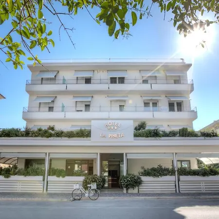 Hotel La Pineta-2