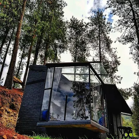 Tiny Houses Premium - Casa Barcelona-3