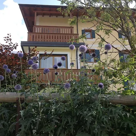 Hotel Jolanda-3
