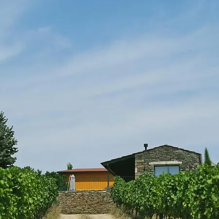 Quinta Do Monte Travesso - Country Houses & Winery-2