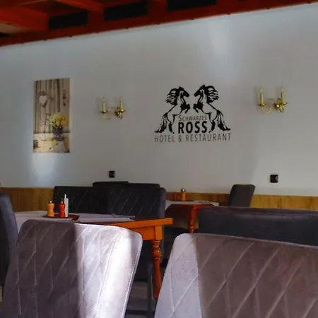 Schwarzes Ross Hotel&Restaurant Oberwiesenthal-3