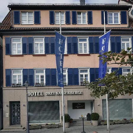 Hotel Drei Kaiserberge-3