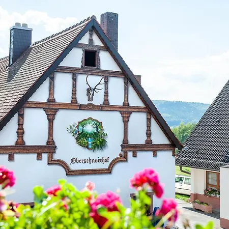 Hotel Landgasthof Oberschnorrhof-2