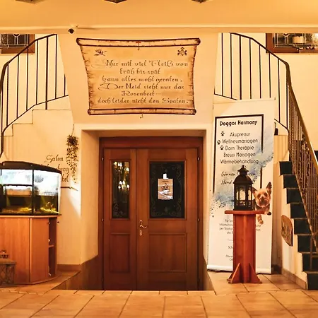 Berghotel Steiger - Pfotenurlaub-3