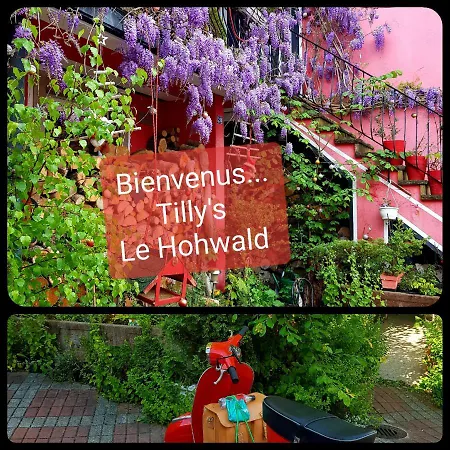 Tilly'S B&B And Apartment House-2