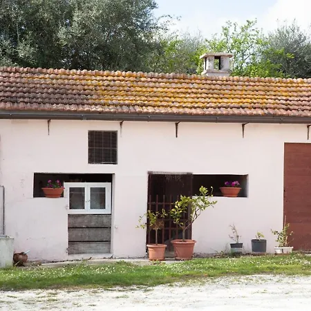 Le Piume B&B-3