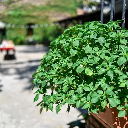 Tiflis Hotel-3
