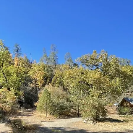 Bear Creek Cabins-3