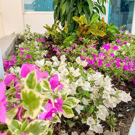 Hotel Abi Inn By Geh Suites-3
