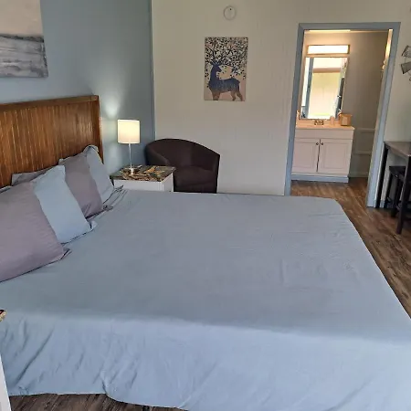 Blue Sky Inn: Pet-Friendly Oasis with Renovated Rooms-3