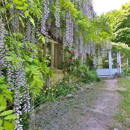 Le Manoir des Sens - Forêt de Bergheim-3